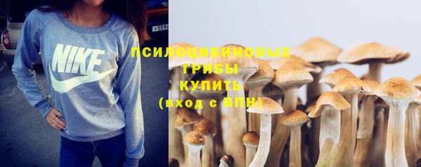 ГАЛЛЮЦИНОГЕННЫЕ ГРИБЫ Новозыбков