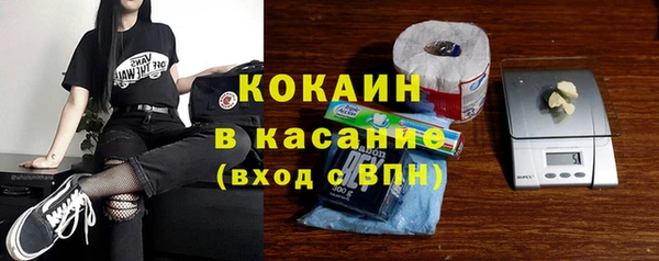 ГАЛЛЮЦИНОГЕННЫЕ ГРИБЫ Новозыбков