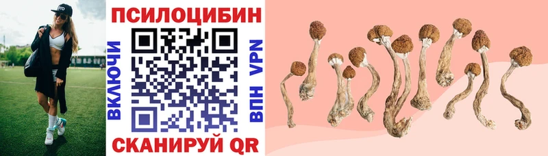 Псилоцибиновые грибы прущие грибы  цены наркотик  Курск 