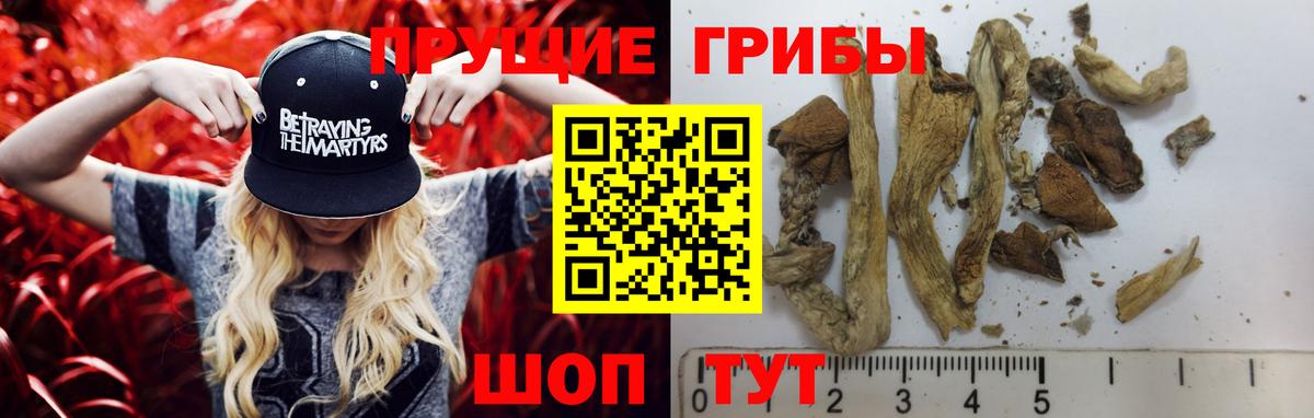 Курск  Галлюциногенные грибы ЛСД  Вход с VPN 