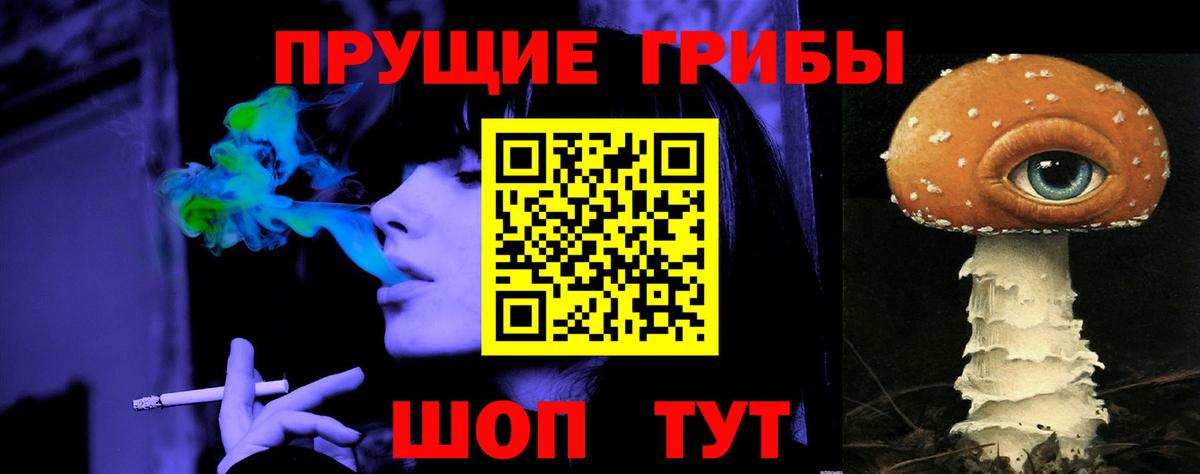 Псилоцибиновые грибы Psilocybe Курск