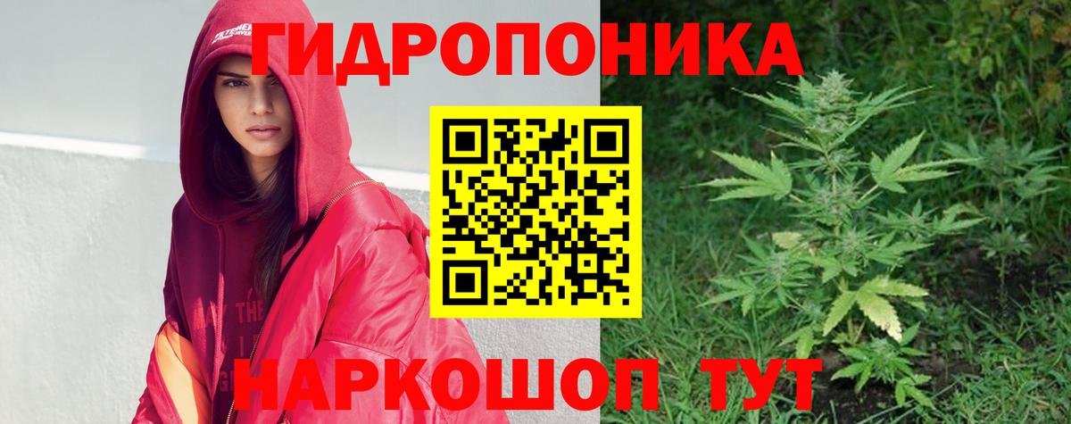 Марихуана марихуана  МАРИХУАНА ГИДРОПОН  Курск  Бошки Шишки марихуана  Бошки марихуана MAZAR  Вход с VPN 